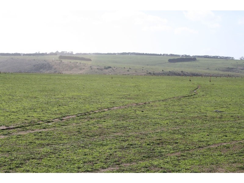 381 Bolinda Road, Bolinda VIC 3432