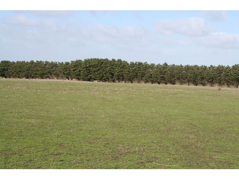 381 Bolinda Road, Bolinda VIC 3432