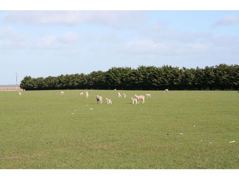 Lot 1 Bolinda Road, Bolinda VIC 3432