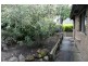 25 Drysdale Street, Sunbury VIC 3429