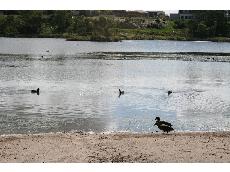 5 Laureate Close, Sunbury VIC 3429