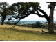 - Chintin Grange, Romsey VIC 3434