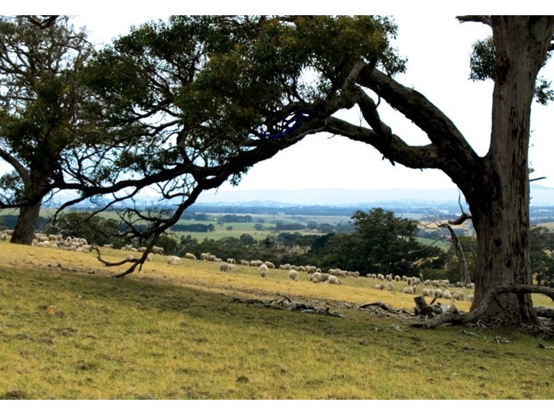 - Chintin Grange, Romsey VIC 3434