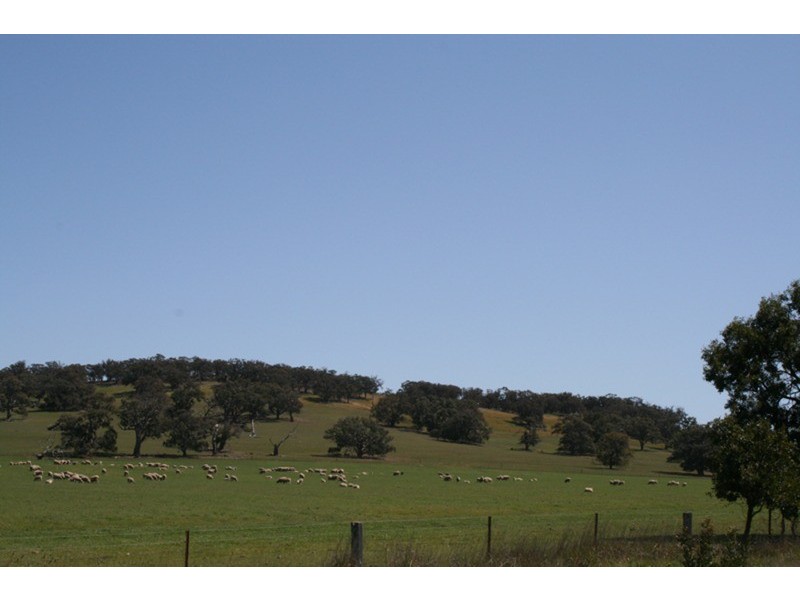 - Chintin Grange, Romsey VIC 3434