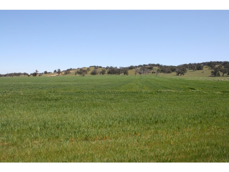 - Chintin Grange, Romsey VIC 3434