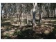 45 Fullwood Drive, Sunbury VIC 3429