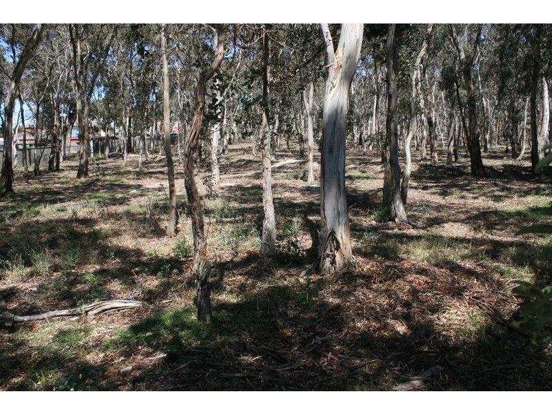45 Fullwood Drive, Sunbury VIC 3429