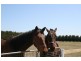868 Bolinda Road, Darraweit Guim VIC 3756