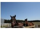 868 Bolinda Road, Darraweit Guim VIC 3756