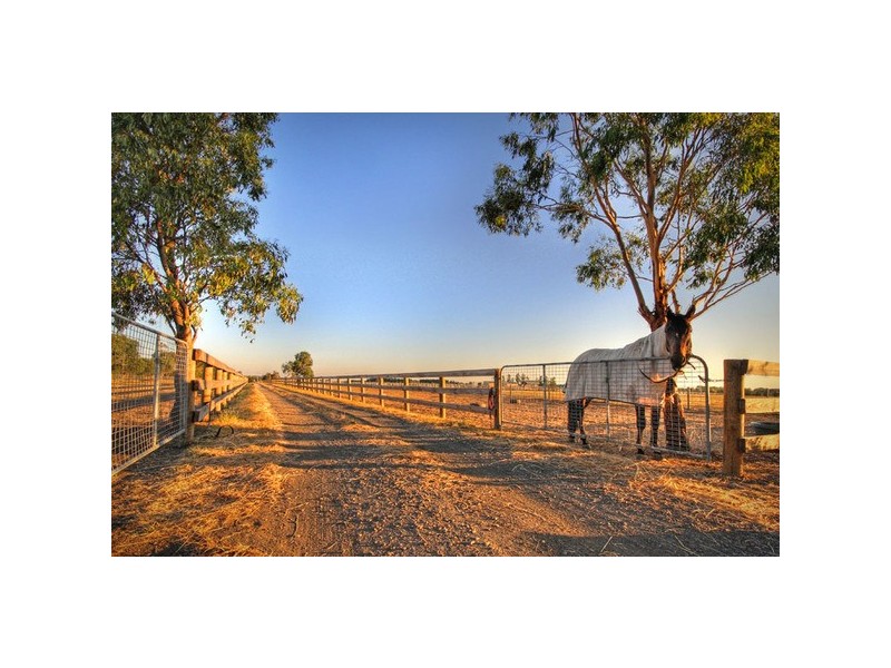 145 Palmers Road, Sunbury VIC 3429