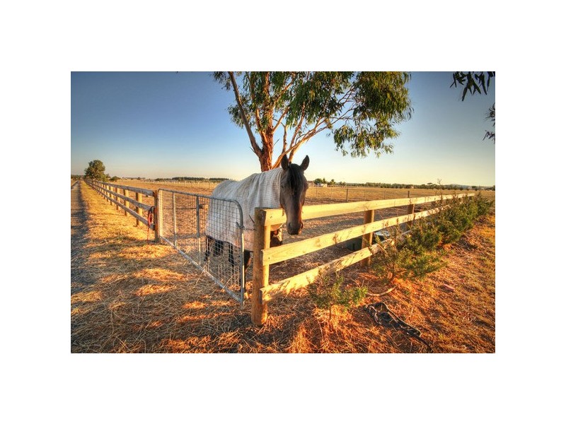 145 Palmers Road, Sunbury VIC 3429