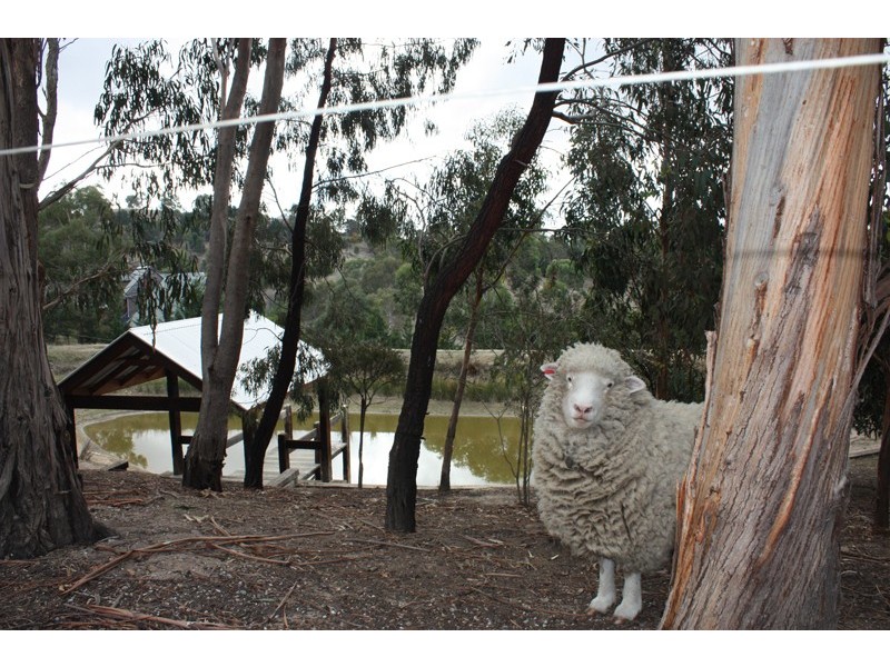 40 The Parkway, Sunbury VIC 3429