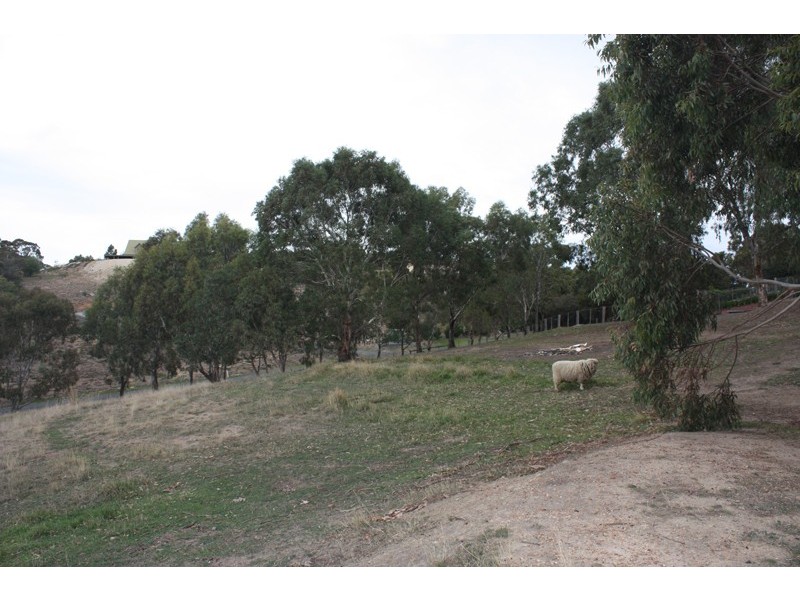 40 The Parkway, Sunbury VIC 3429