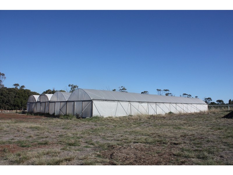 920 Wildwood Road, Bulla NSW 2835