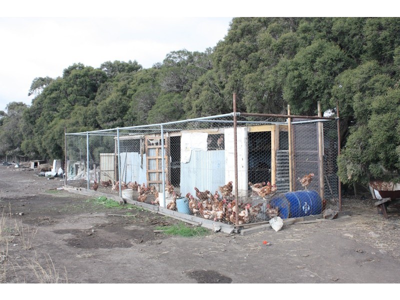 920 Wildwood Road, Bulla NSW 2835