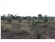 920 Wildwood Road, Bulla NSW 2835
