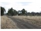 920 Wildwood Road, Bulla NSW 2835