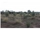 920 Wildwood Road, Bulla NSW 2835