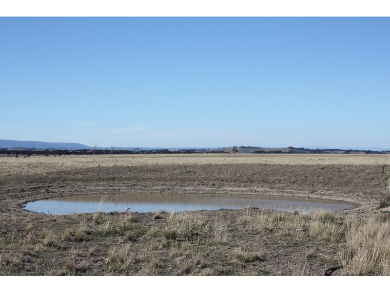 920 Wildwood Road, Bulla NSW 2835