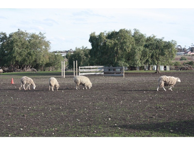 50 Edwards Road, Diggers Rest VIC 3427