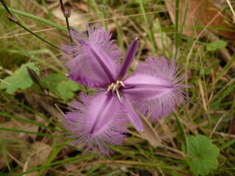 42 Long Ryans Road, Benloch VIC 3435