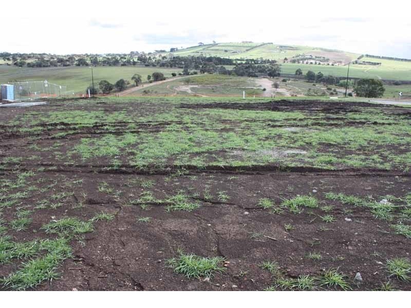 16 Earlington Crescent, Sunbury VIC 3429