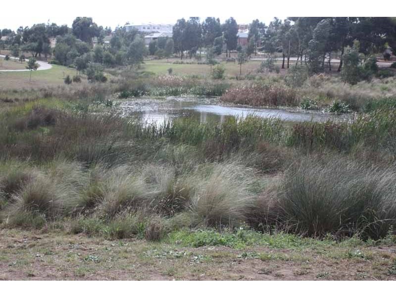 16 Earlington Crescent, Sunbury VIC 3429