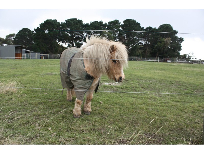 81 Fielding Drive, Gisborne South VIC 3437