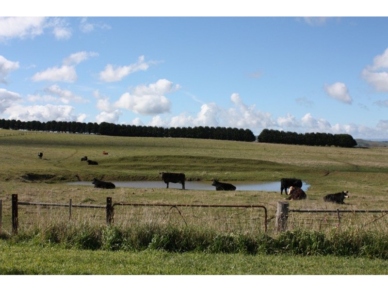 Lot 4 Couzens Lane, Romsey VIC 3434