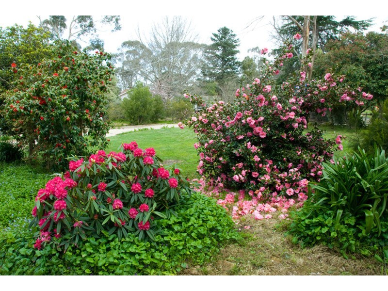 8 Zig Zag Road, Mount Macedon VIC 3441