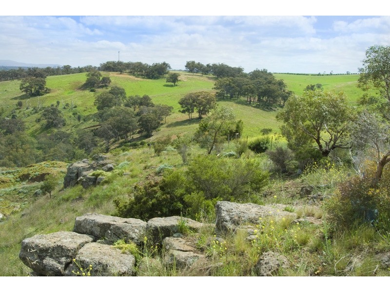 95 Green Street, Bulla VIC 3428