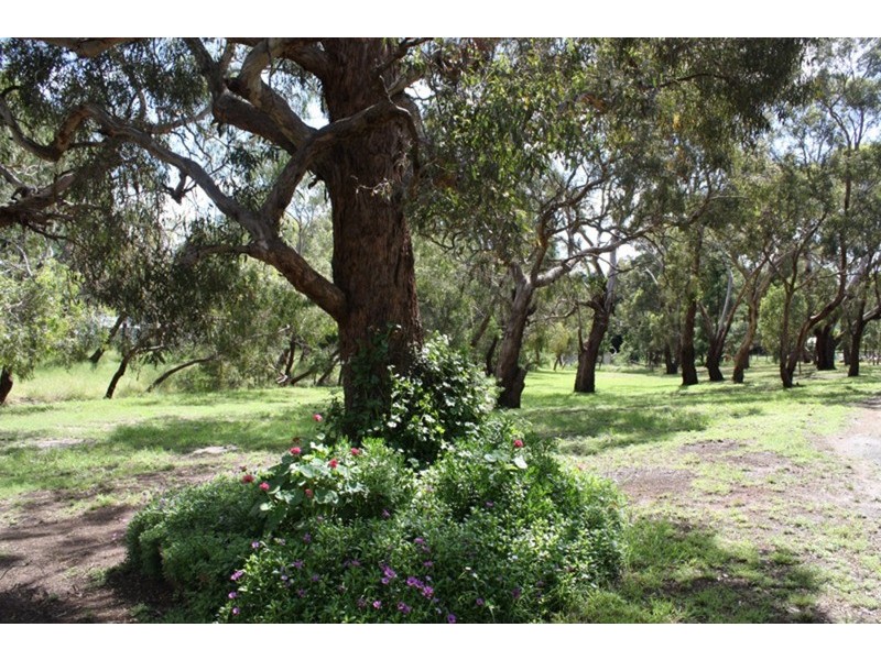 10 Webb Court, Sunbury VIC 3429