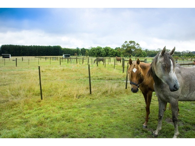 829 Bacchus Marsh Road, Bullengarook VIC 3437