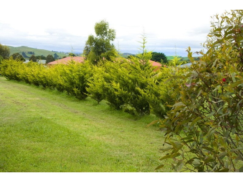 14 Stuartfield Avenue, Romsey VIC 3434