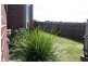12 Marsh Crescent, Sunbury VIC 3429