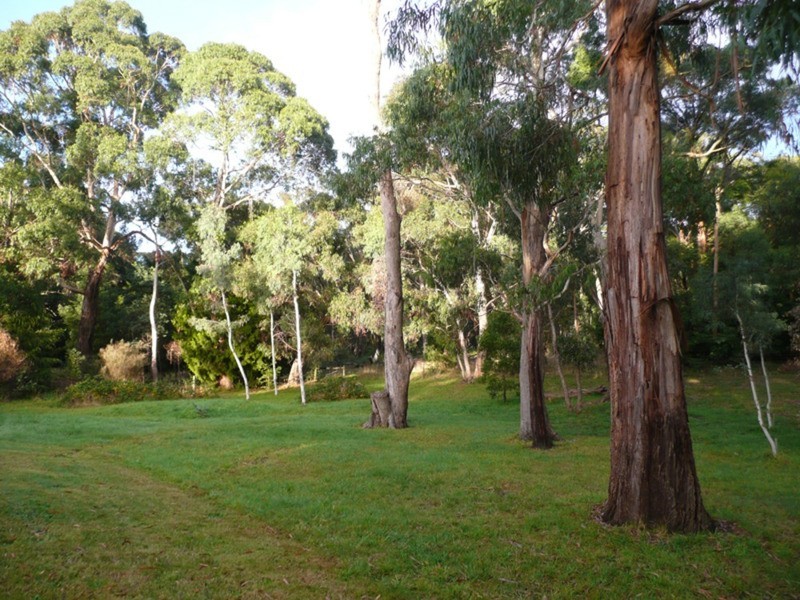 31 Nursery Road, Macedon VIC 3440