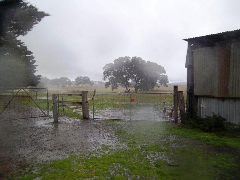 445 Lancefield Road, Clarkefield VIC 3430