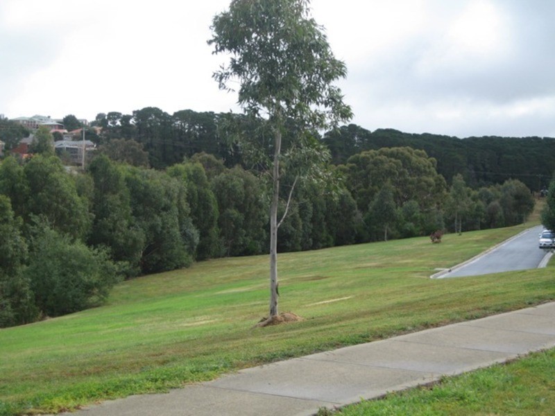 3 Riverview Terrace, Sunbury VIC 3429