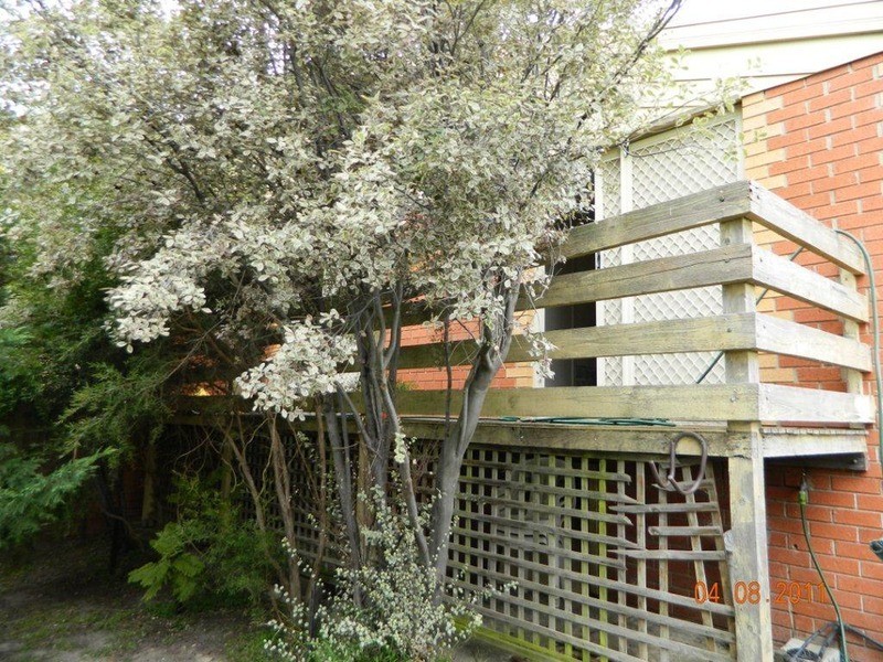 1/4 Wilsons Lane, Sunbury VIC 3429