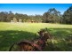 113 Fitzgerald Road, Bullengarook VIC 3437