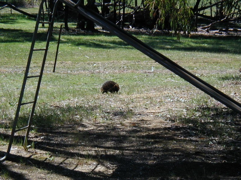 113 Fitzgerald Road, Bullengarook VIC 3437