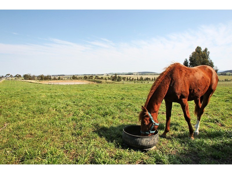 140 Toomeys Lane (via Romsey), Springfield VIC 3434