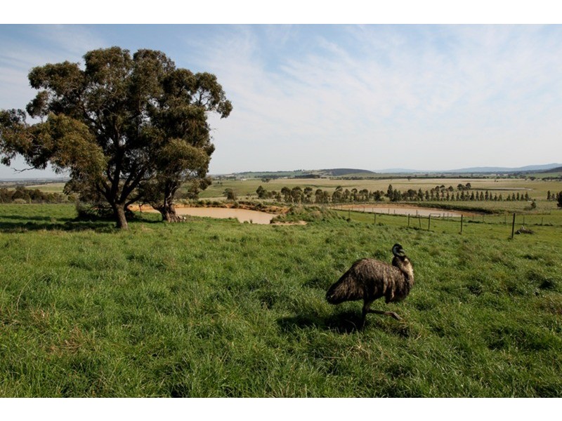 140 Toomeys Lane (via Romsey), Springfield VIC 3434