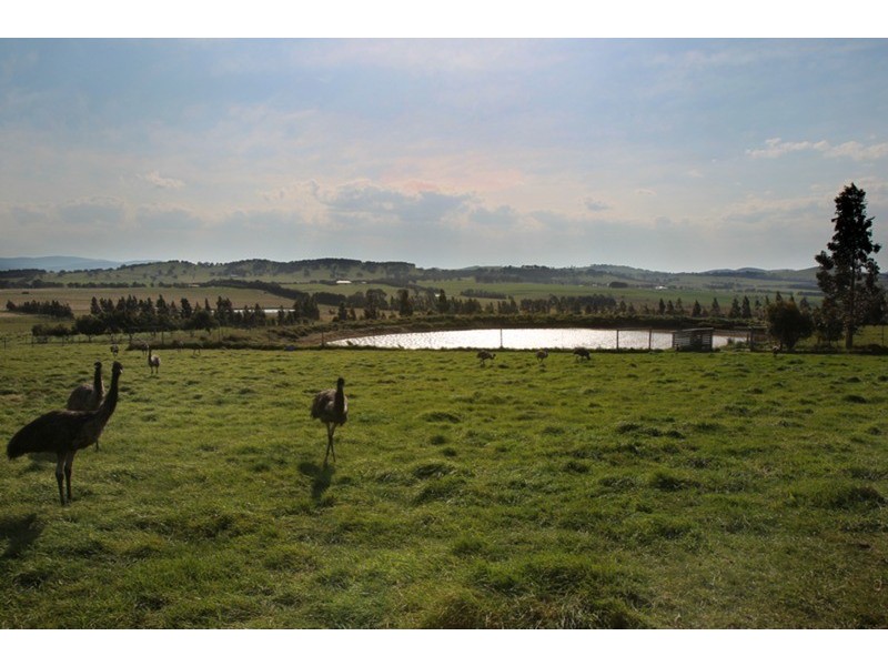 140 Toomeys Lane (via Romsey), Springfield VIC 3434