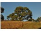 115 St Johns  Road, Bulla VIC 3428