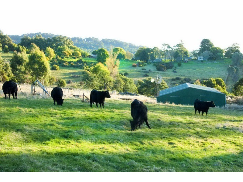1010 Romsey Road, Hesket VIC 3442