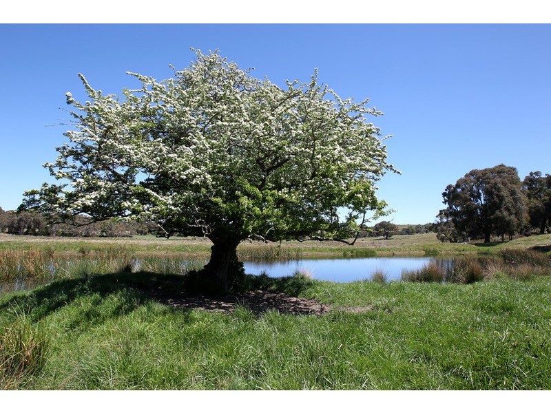 1327 Three Chain  Road, Cobaw VIC 3442