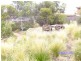 118 Pasley Street, Sunbury VIC 3429