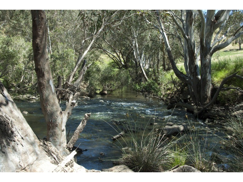 480  Wildwood  Road, Bulla VIC 3428