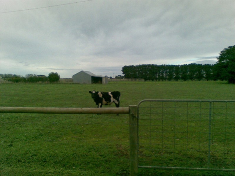 79 Injemira Road, Grassmere VIC 3281